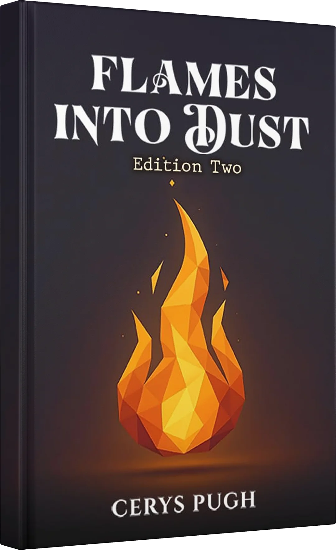 Flames Into Dust book cover