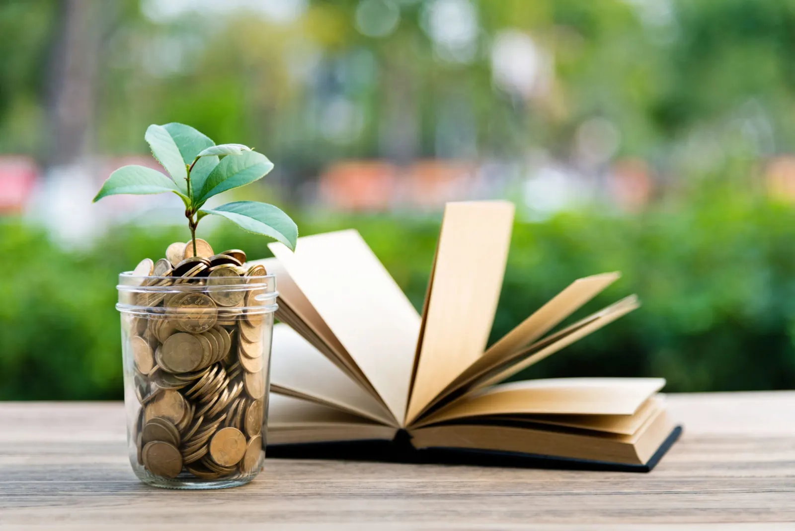 How Much Do Authors Really Make? Advances, Royalties, and the Truth Behind the Numbers