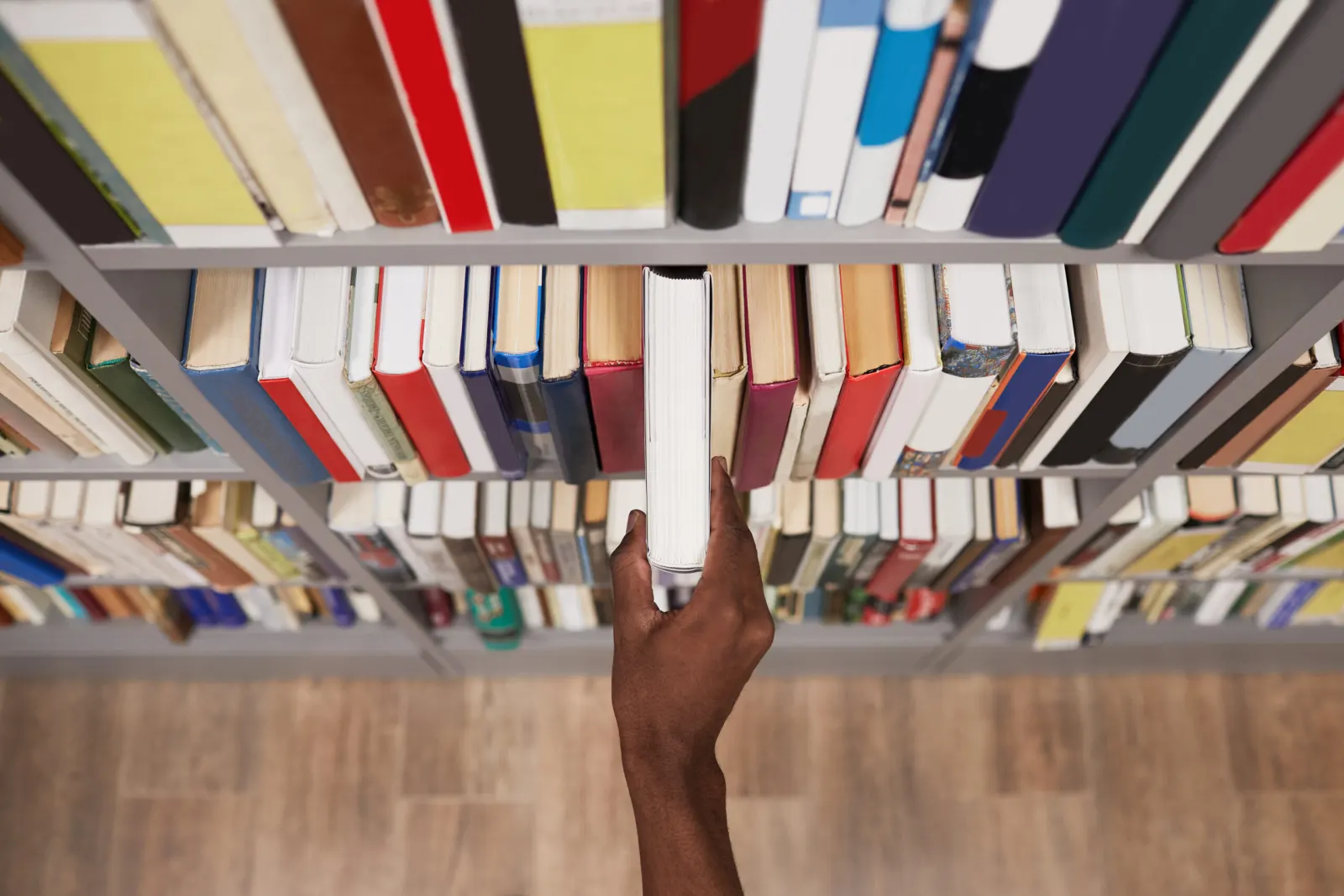Choosing Your Publishing Path: Self-Publishing vs Traditional in 2026