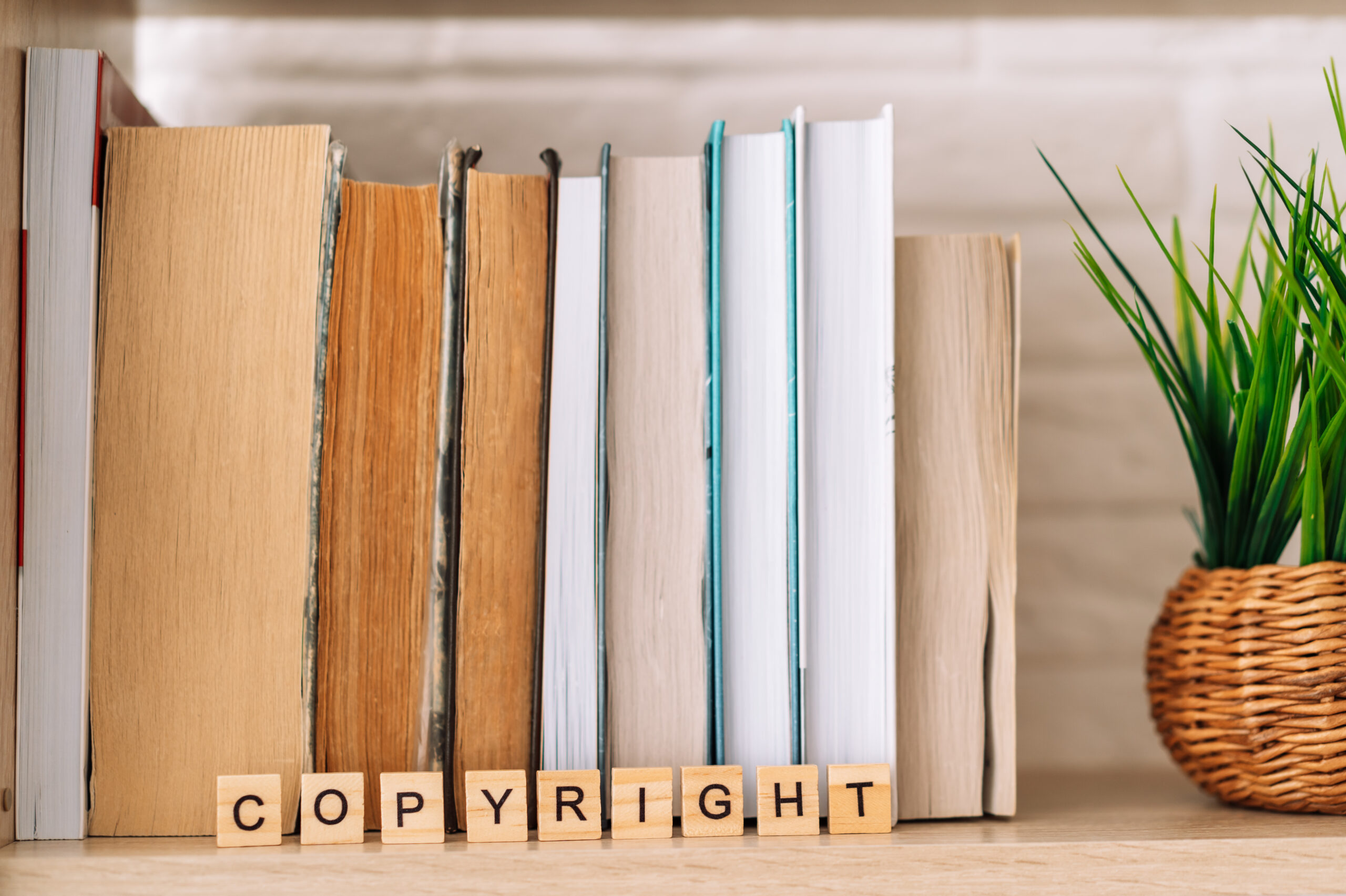Book Copyright Guide